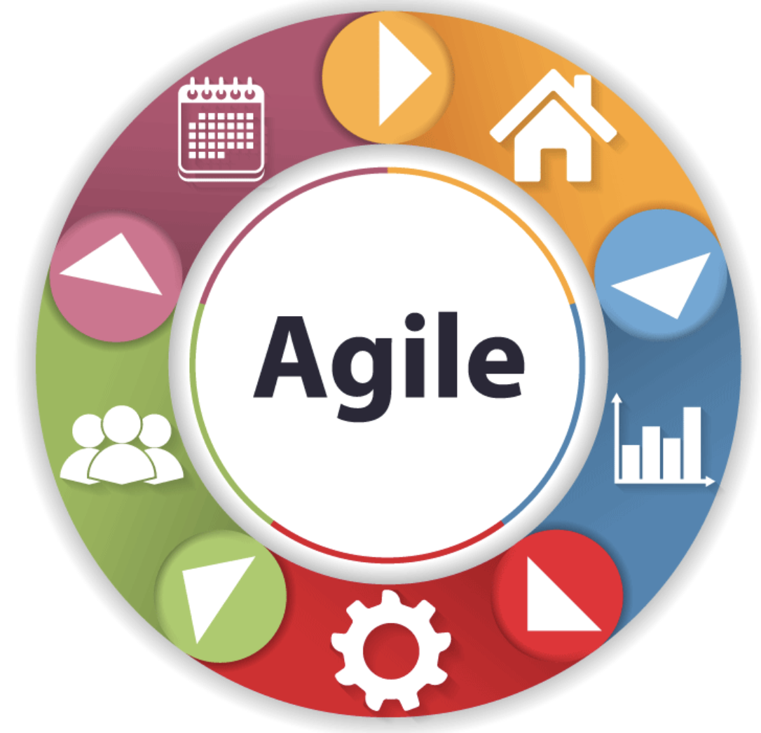 Software Processes and Agile Practices